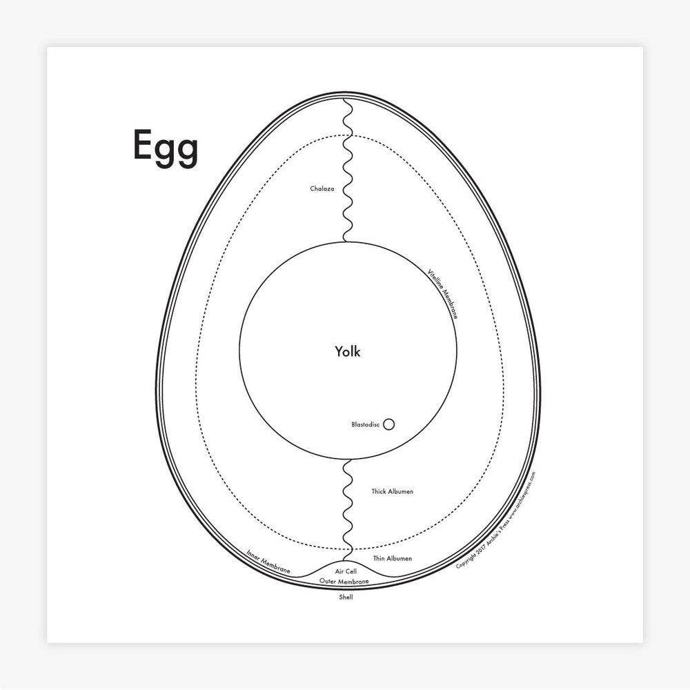 egg-print-letterpress-play