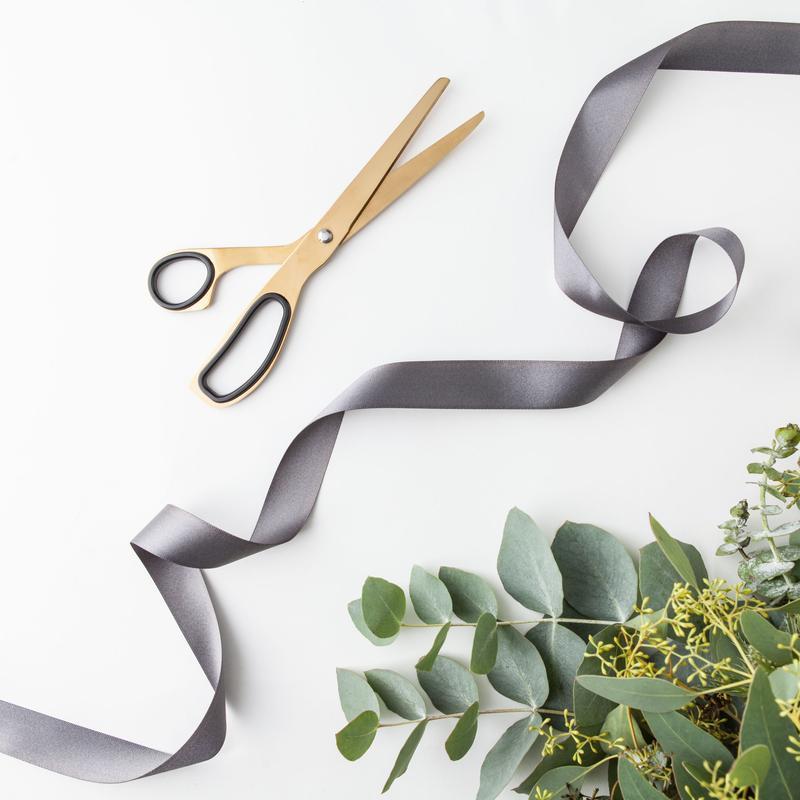 Minimal Brass Gold and Black Scissors - Craft & Office  - Top View
