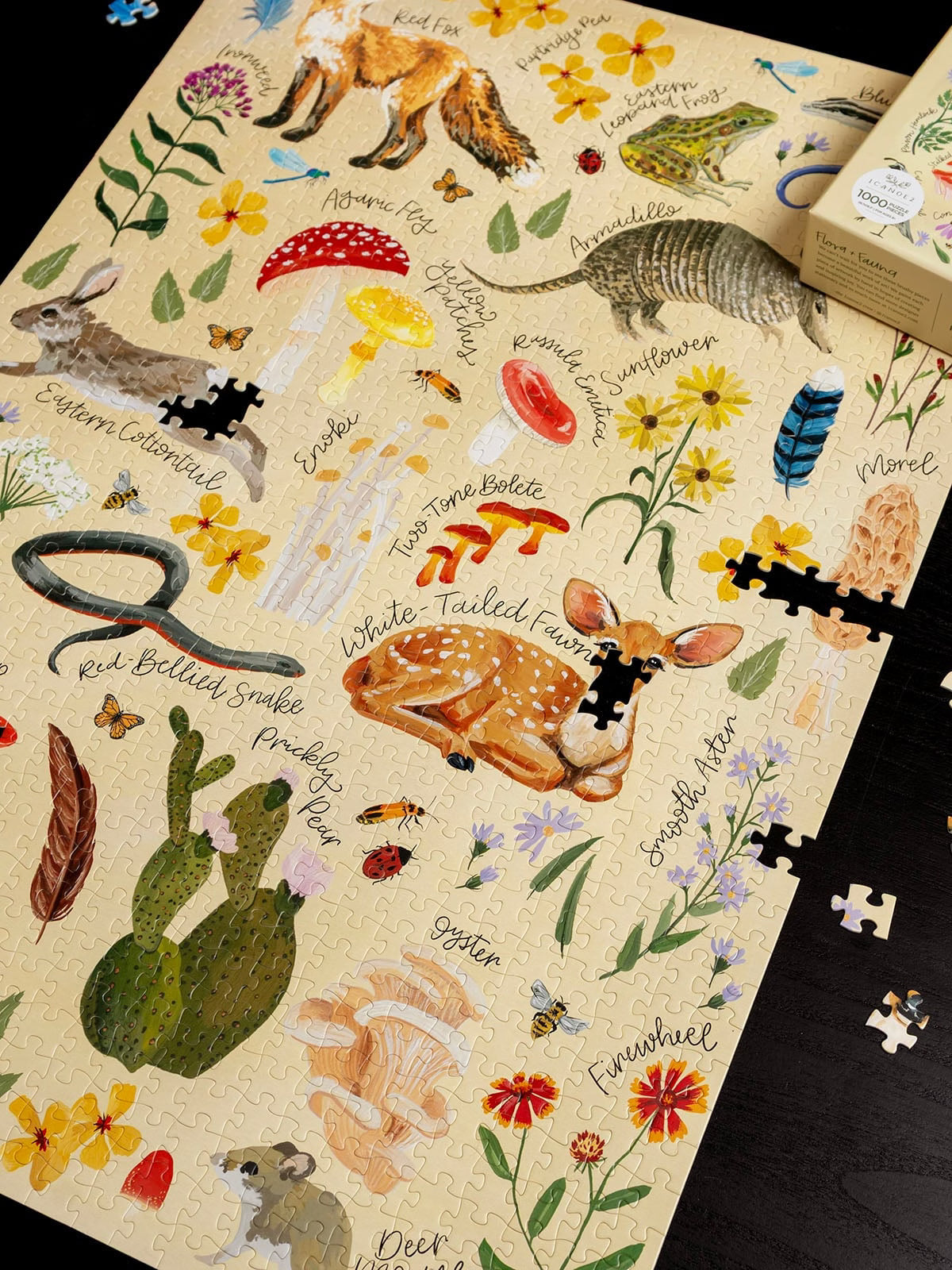 Flora & Fauna - 1,000 Piece Jigsaw Puzzle