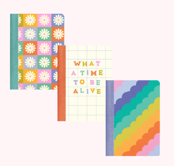 Mini Notebook Set - Delightful