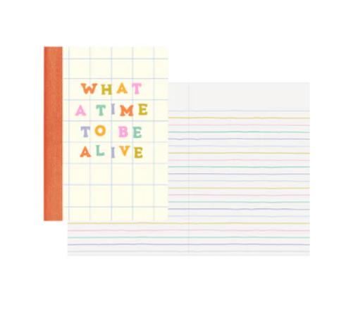 Mini Notebook Set - Delightful