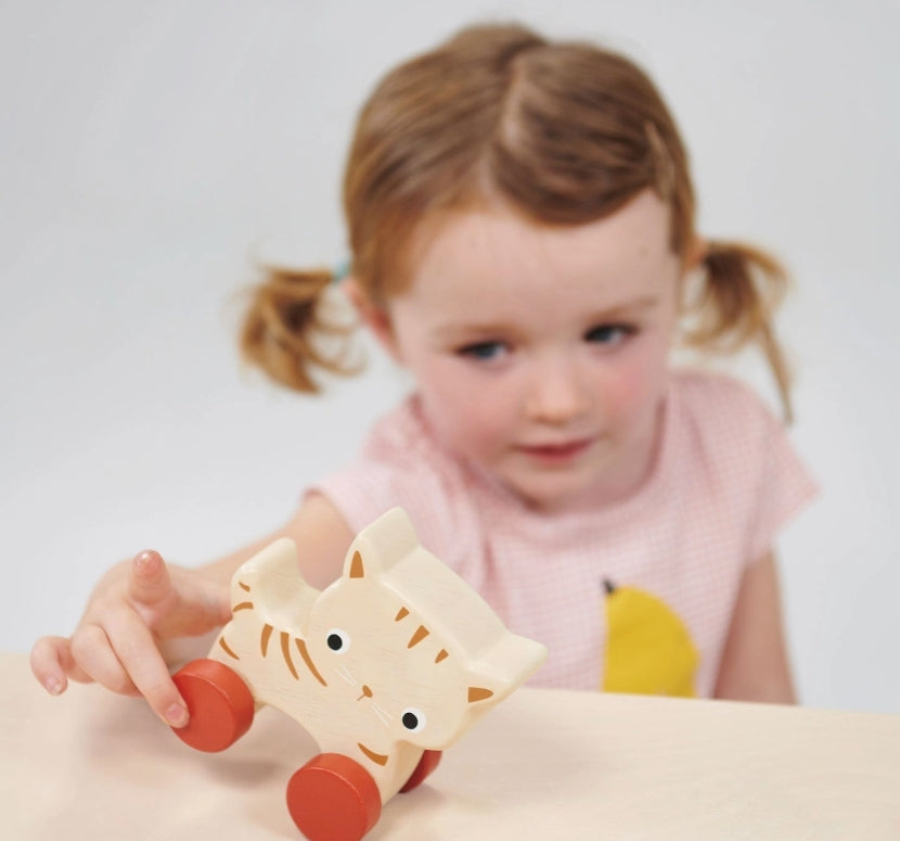 Wooden Kitten On Wheels – Pull Along Toy
