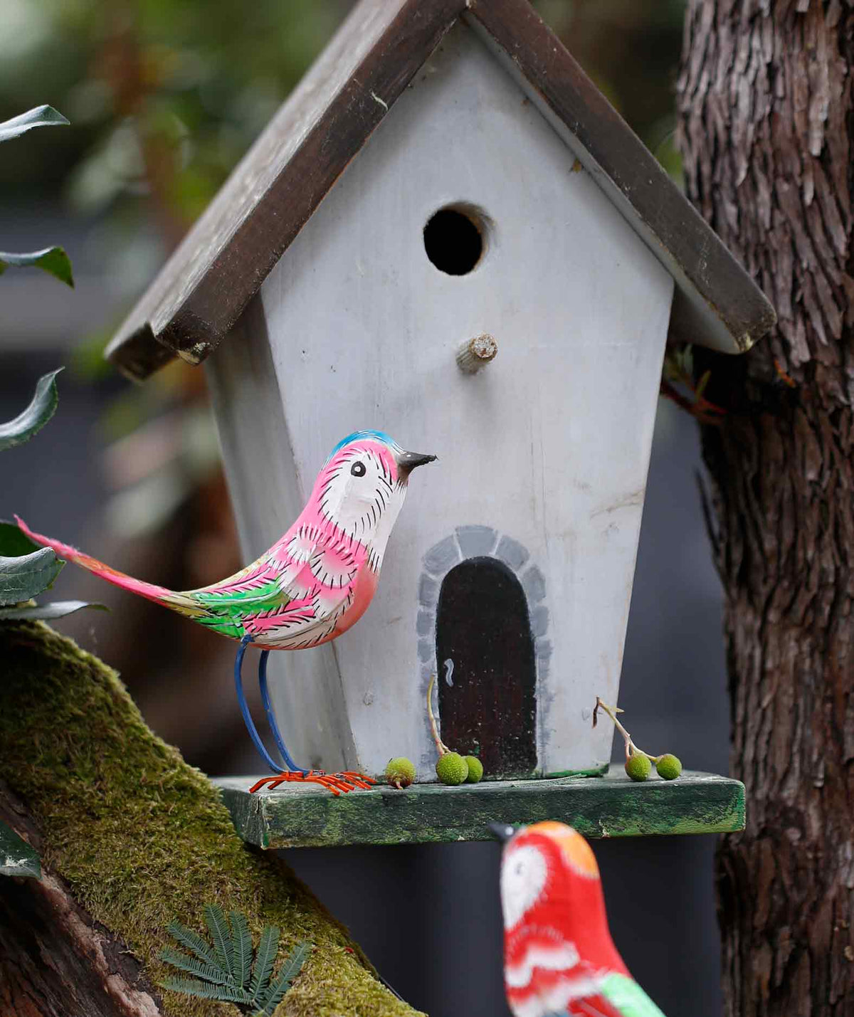 Little Pink Silk Bird
