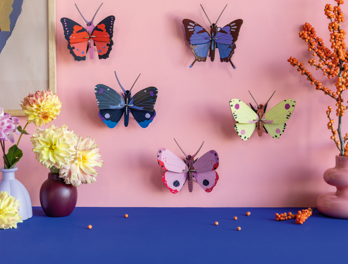 3D Wall Art - Butterfly - Large Fox Butterfly