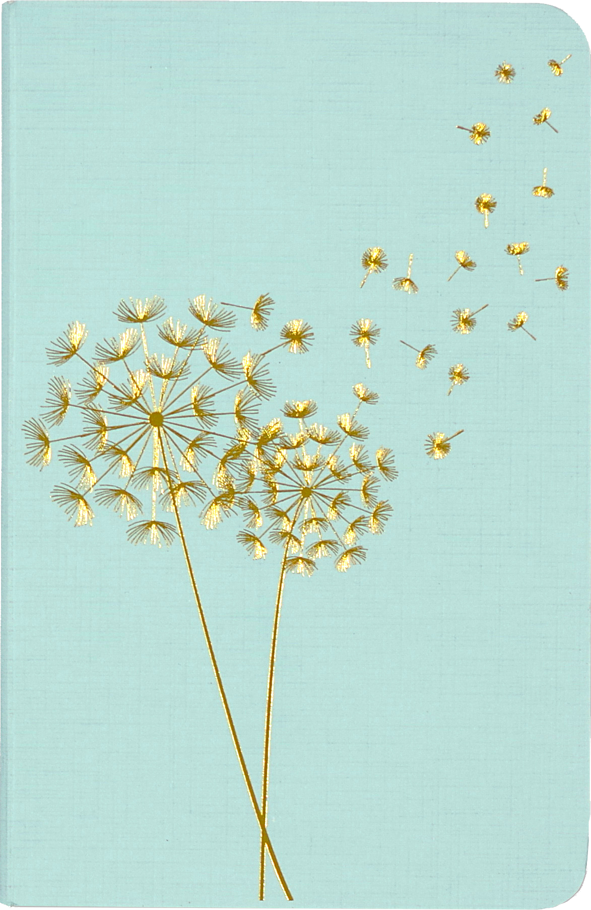 Ntbk Jotter Dandelion Wishes