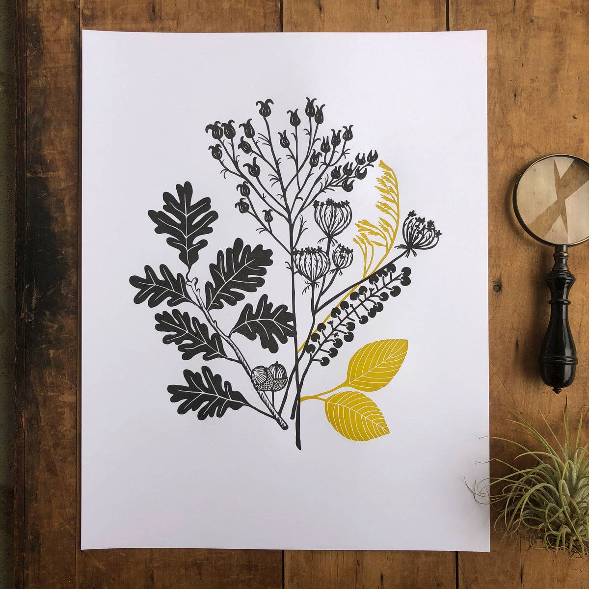 11" x 14" Autumn Plants Print