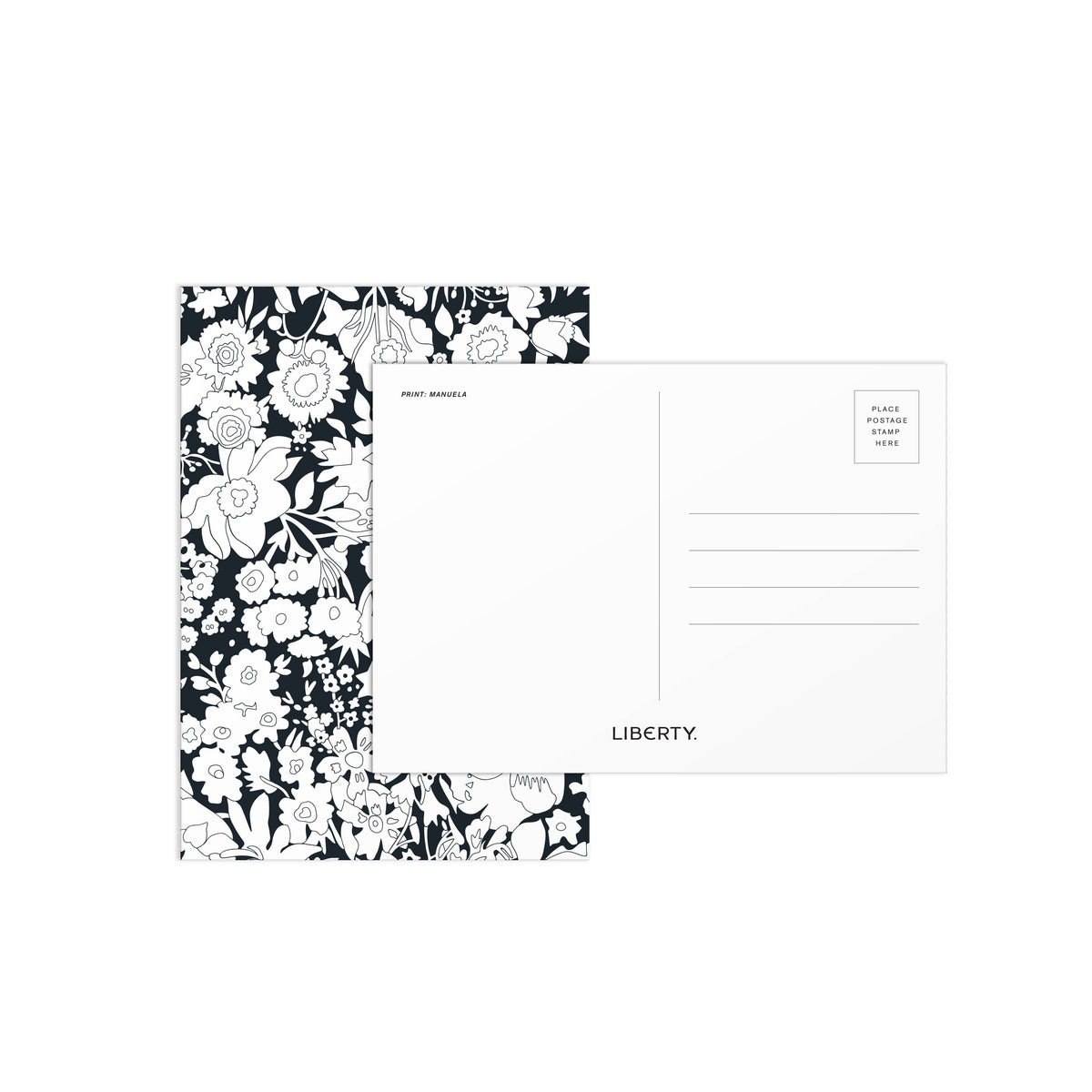 Liberty Paint-In Print Set