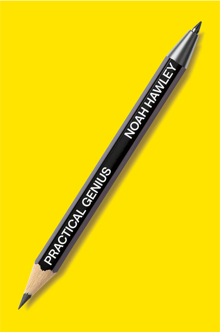 Practical Genius: A Creative's Guide to Business and Life