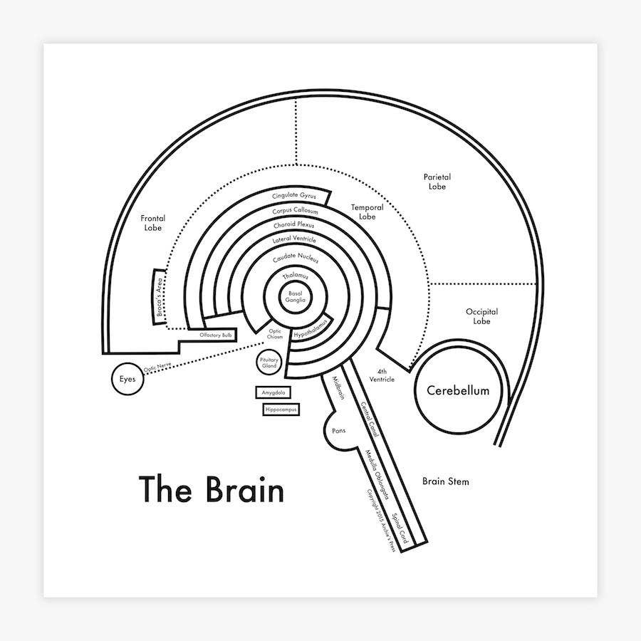 The Brain Letterpress Print