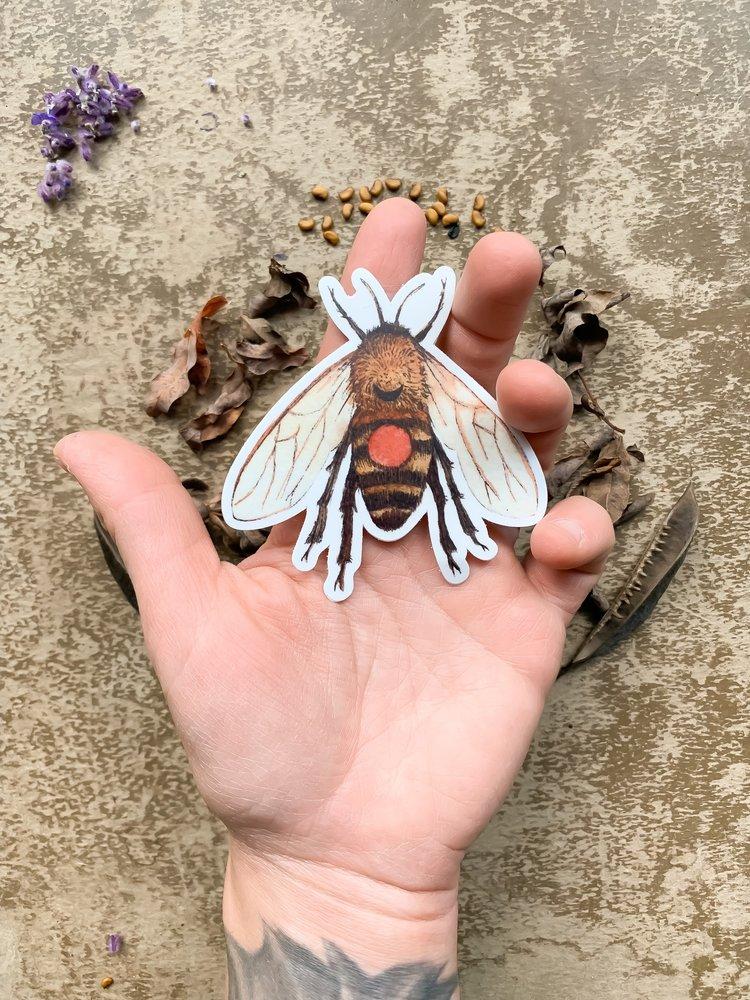 Bee Sticker - Gift - Hand View