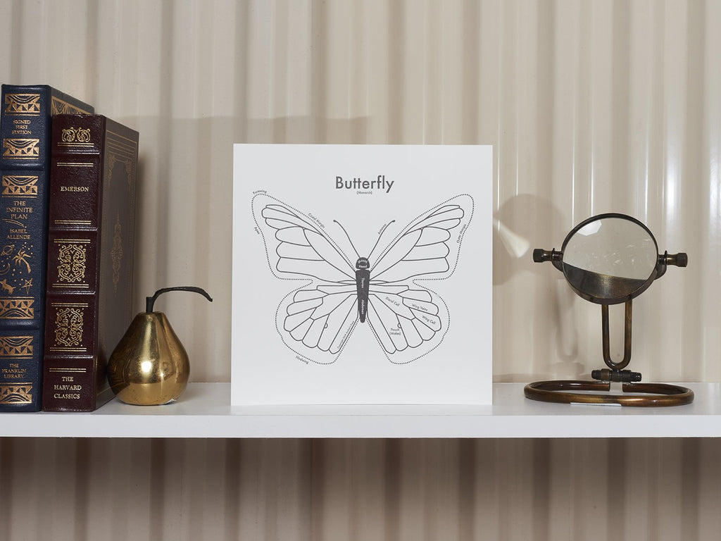 Black and white letterpress monarch butterfly labeled with anatomy print - displayed -  Austin Gift Shop