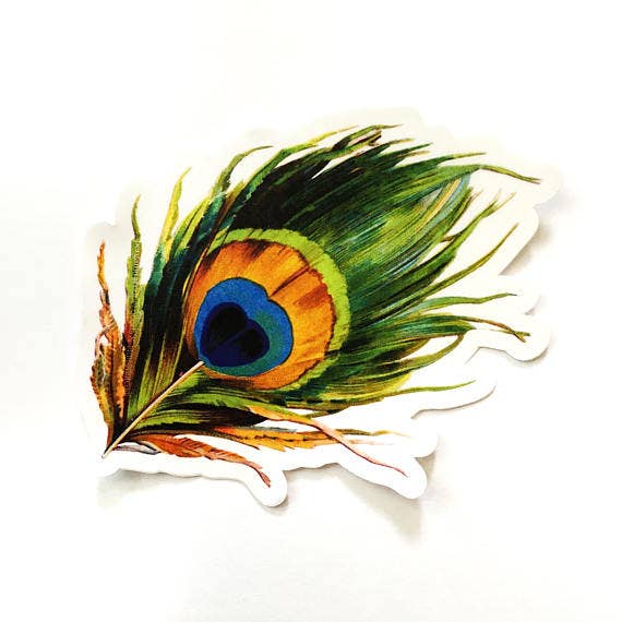 Peacock Feather Sticker – Letterpress PLAY
