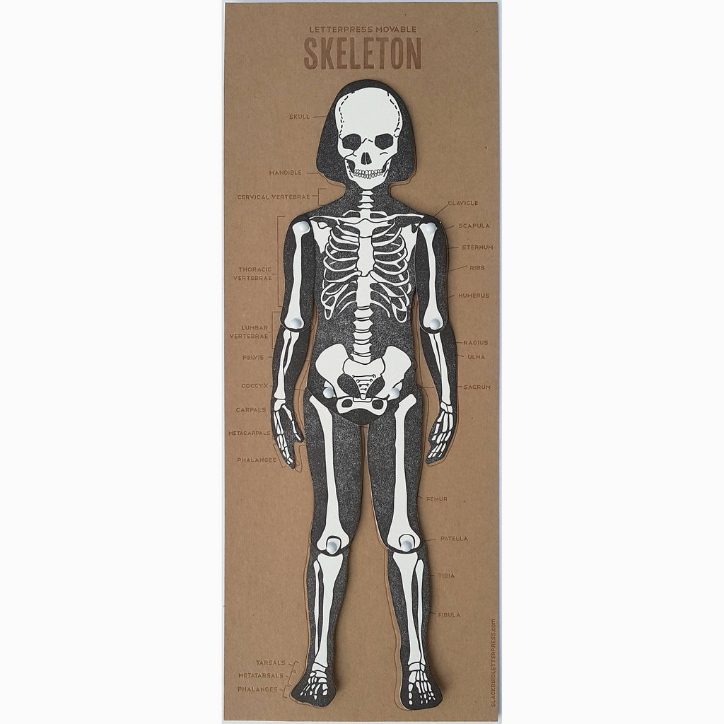 Black and white Letterpress skeleton with articulating pieces & diagram of bones - Austin Gift Shop