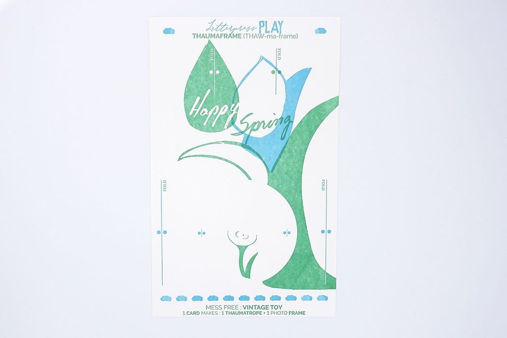 Spring Flower Paper Toy Bundle of 3 - Thaumaframe View - Austin Gift Shop - Letterpress printed