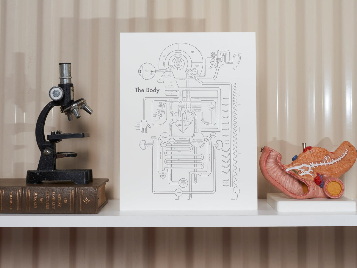 black and white Letterpress Body Anatomy Print Art - Austin Gift Shop - display view