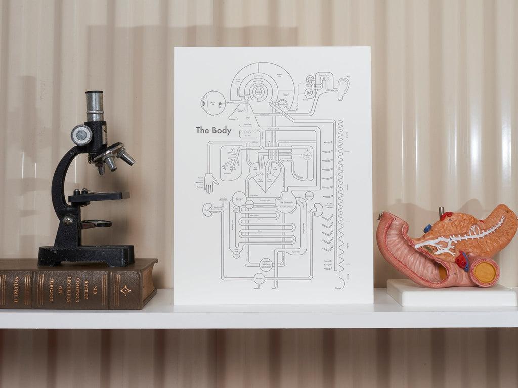 black and white Letterpress Body Anatomy Print Art - Austin Gift Shop - display view