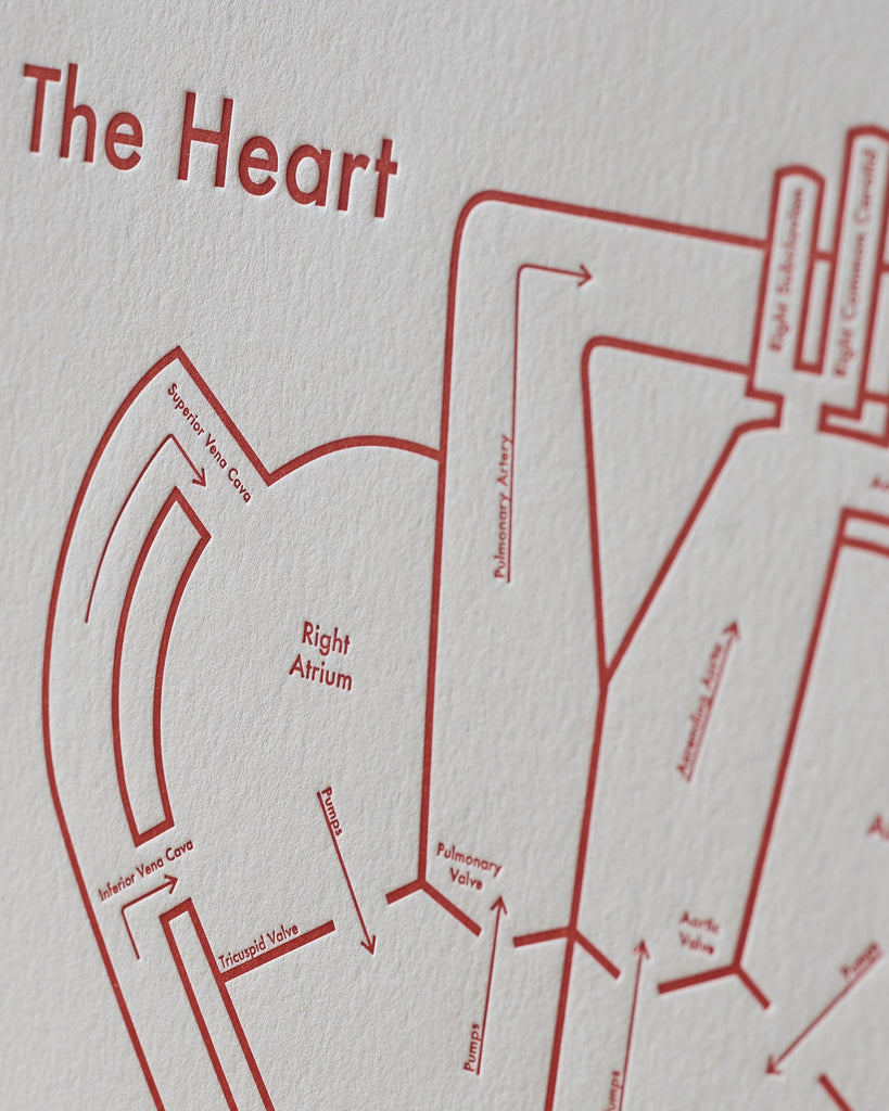 The Heart Print Close Up - Posters Prints & Visual Artwork