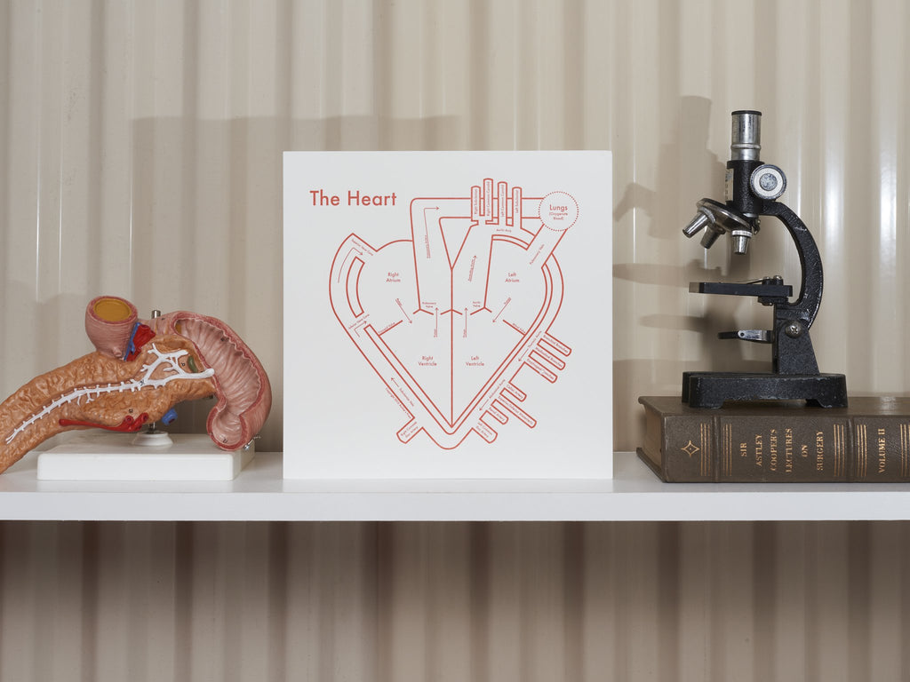 The Heart Print on Shelf - Posters Prints & Visual Artwork