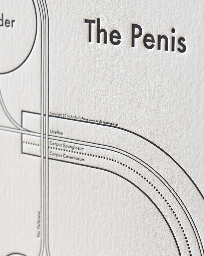 The Penis Print Close Up - Posters Prints & Visual Artwork
