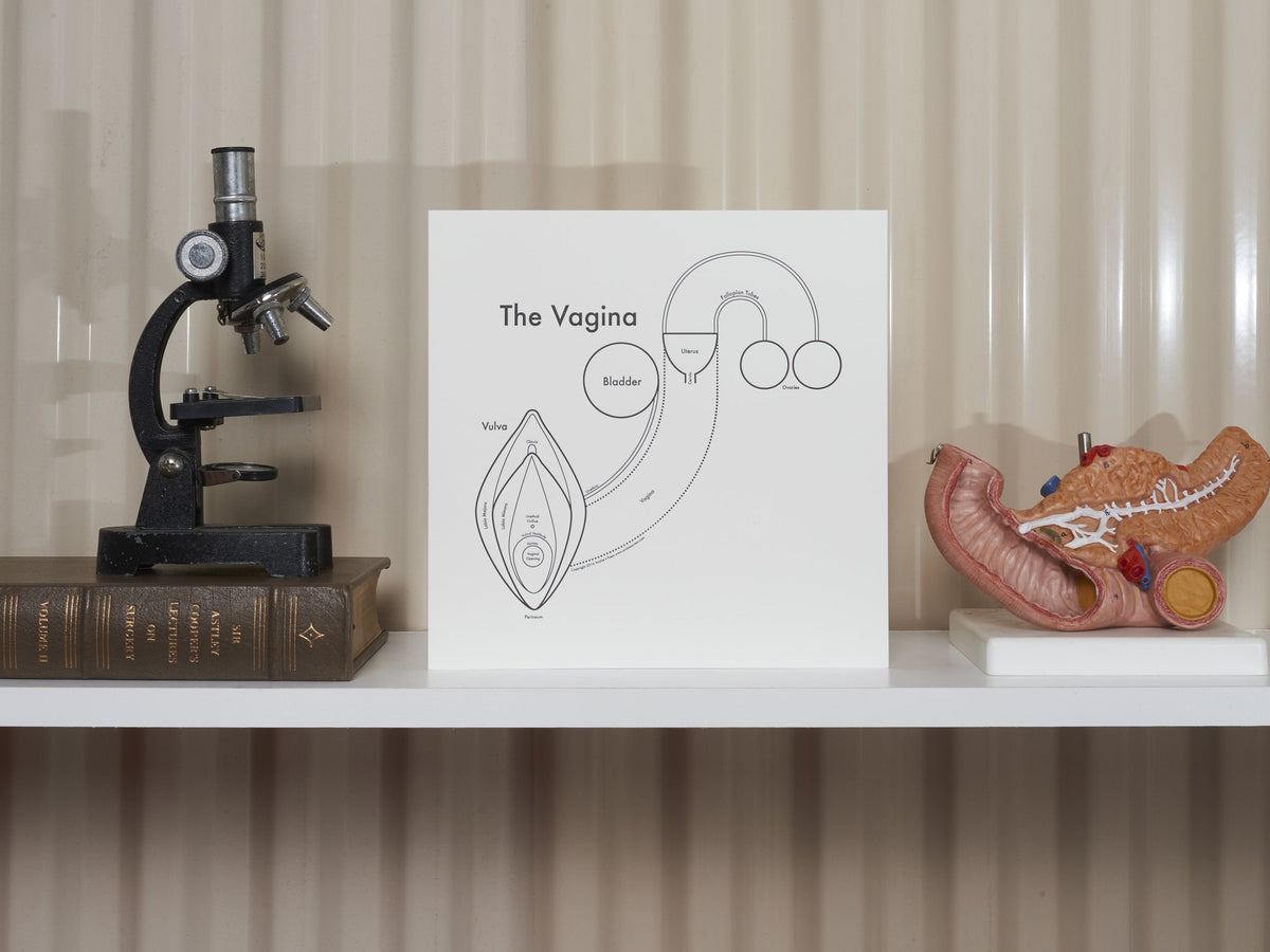 The Vagina Print On Shelf - Posters Prints & Visual Artwork