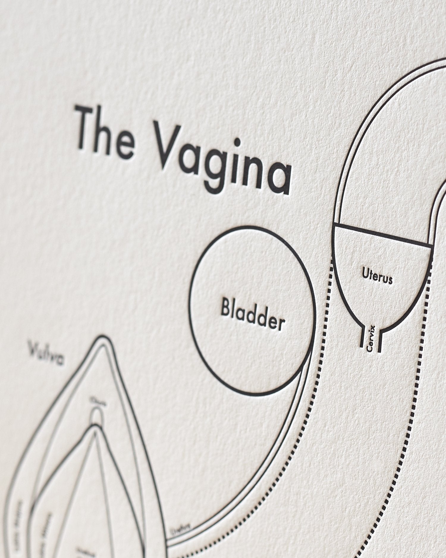 The Vagina Print Letterpress PLAY the-vagina-print-letterpress-play
