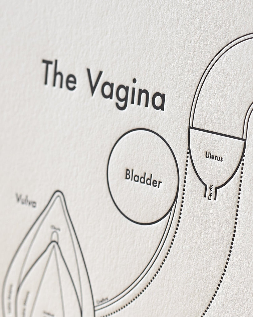 The Vagina Print Close Up - Posters Prints & Visual Artwork